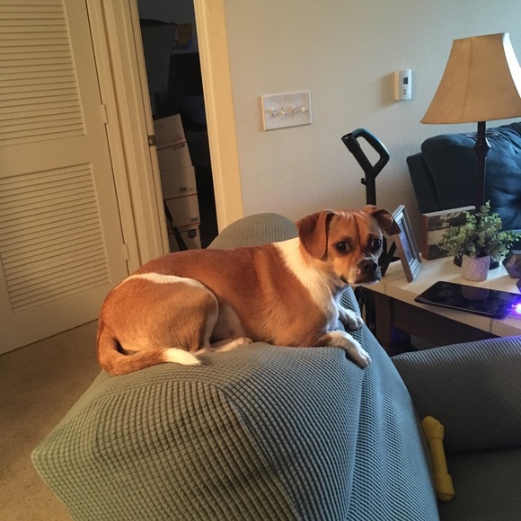 Meet your Posher, Karen - Picture 3 of 4